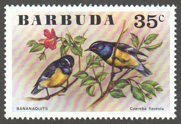 Barbuda Scott 238 MNH - Click Image to Close